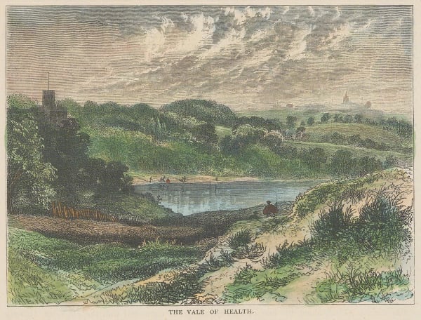 Old & New, London - Hampstead Heath, 1880