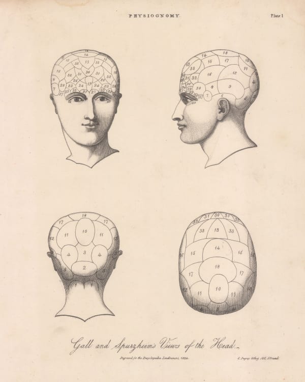 John Wilkes, Anatomy - Phrenology, 1825