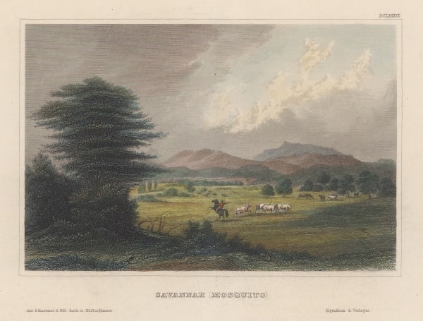 Hermann Meyer, Nicaragua - Mosquito, 1857