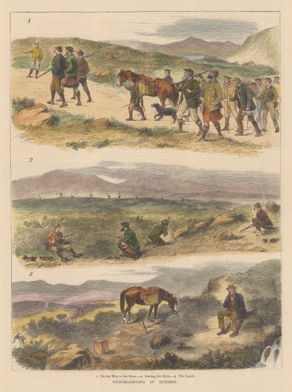 The Graphic Magazine, Shooting - Grouse Driving in October, 1878