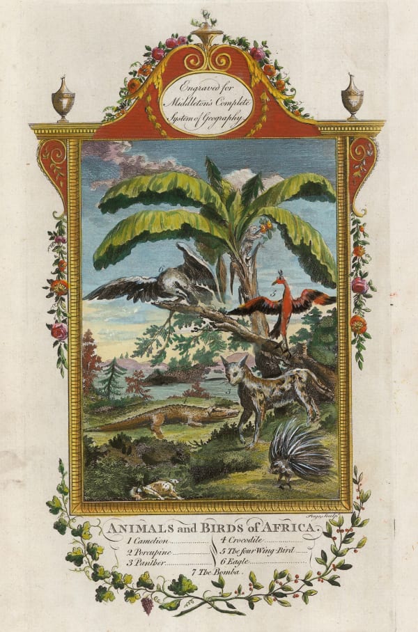 Charles Middleton, South Africa - Animals and Birds of Africa, 1778