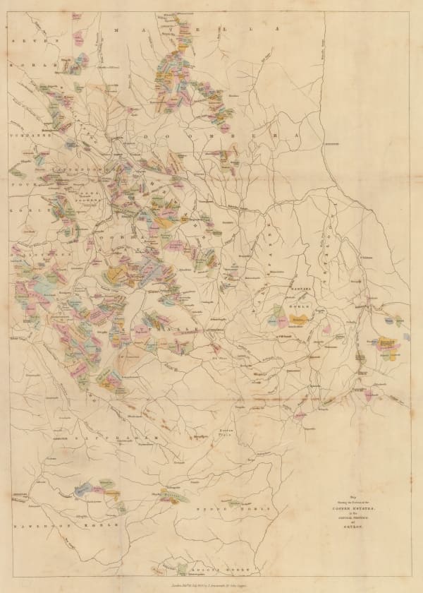 John Arrowsmith, Map Showing the Positions of the Coffee Estates in the Central Province of Ceylon, 1859