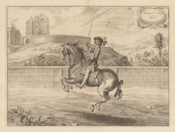 William Cavendish (Duke of Newcastle), Horses - Dressage, 1743