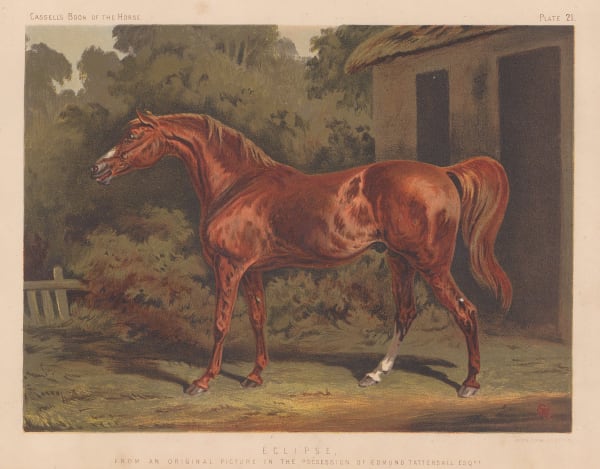 Cassell, Petter & Galpin, Horse Racing - Eclipse, 1877 c.