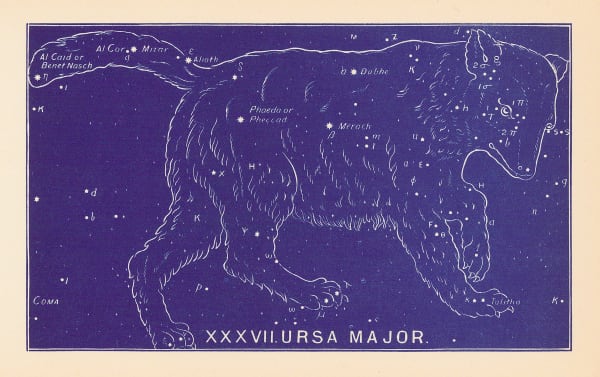 Ethelbert William Bullinger, XXXVII. Ursa Major, 1895