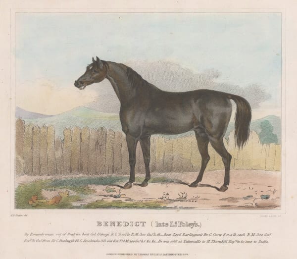 Lawrence Richard, Horses - Benedict, 1823 c.