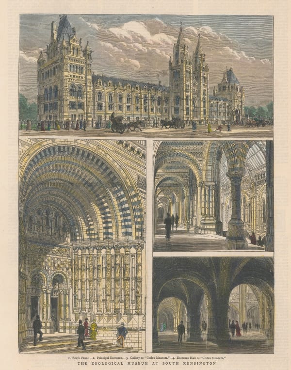 Illustrated London News (ILN), London - Natural History Museum, 1880