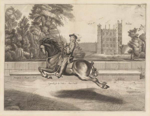 William Cavendish (Duke of Newcastle), Horses - Dressage, 1743