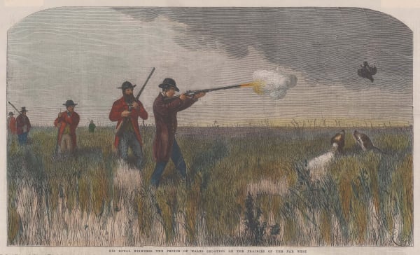 Illustrated London News (ILN), Shooting - Wild Fowl shooting, 1860