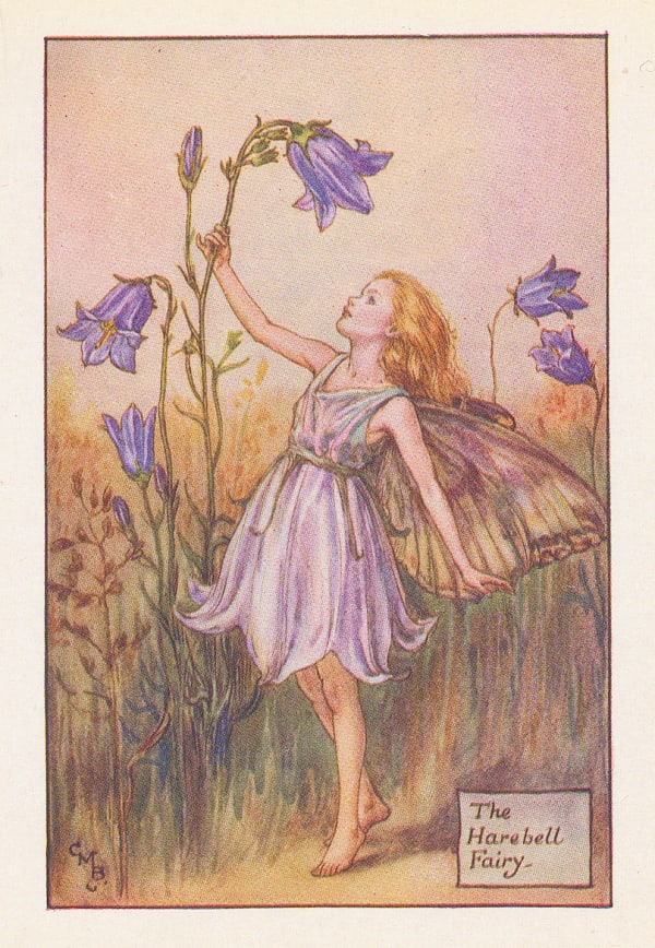 Cicely Mary Barker, Fairies - Harebell Fairy, 1925