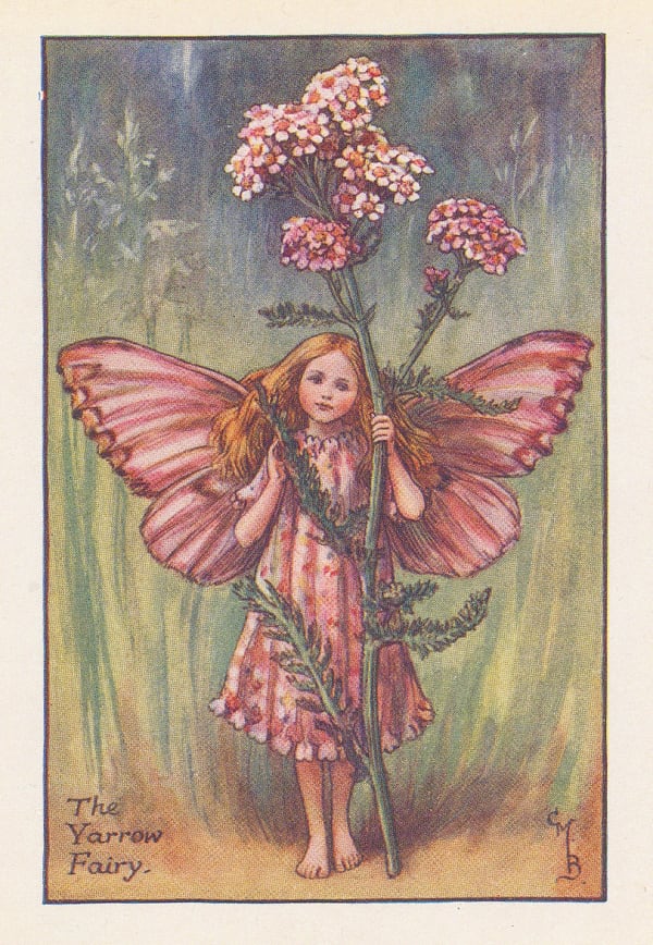 Cicely Mary Barker, Fairies - Yarrow Fairy, 1925
