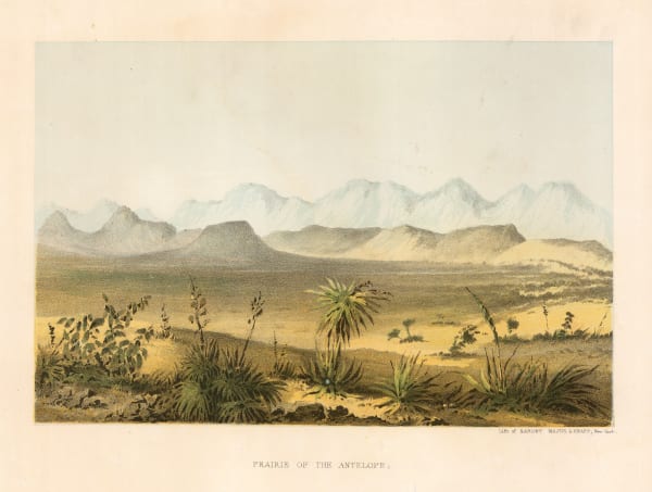 United States Pacific Railroad Expeditions (USPRR), Wyoming - Prairie of the Antelope, 1857