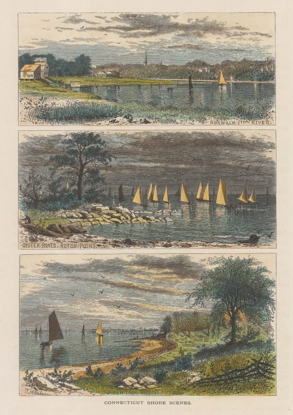 Picturesque America, Connecticut - Roton Point, Wilson Point and Norwalk, 1872