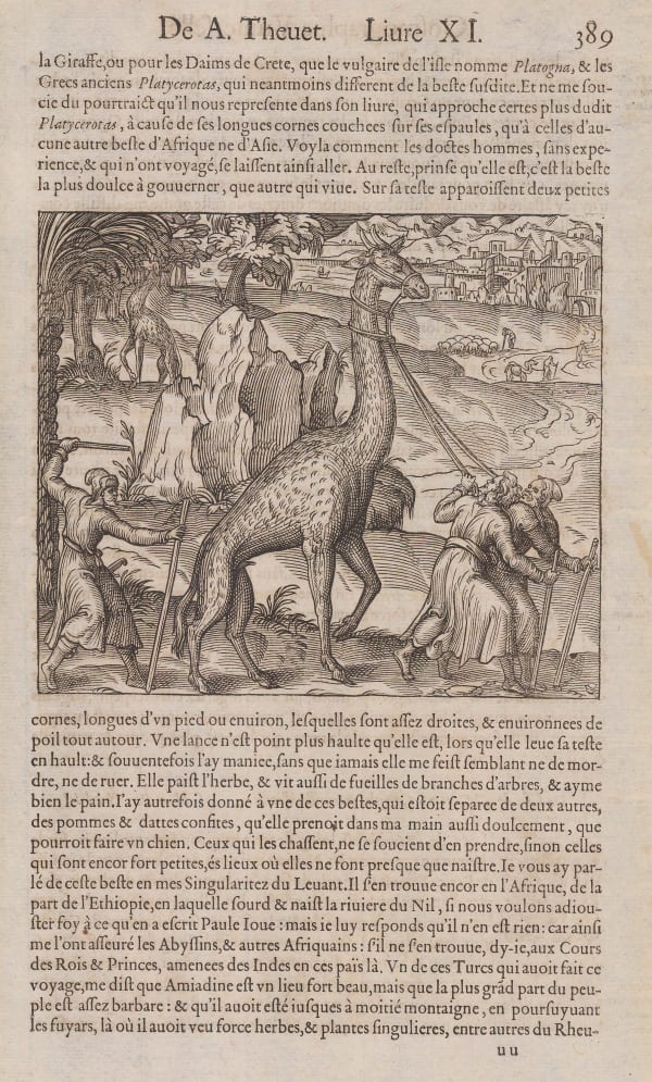 Andre Thevet, Giraffe, 1575