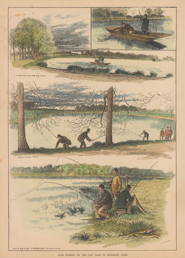 Illustrated Sporting and Dramatic News (ISDN), Fishing - Pike Fishing, 1882