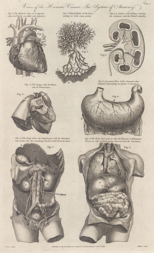 Charles Cooke, Anatomy - Viscera , 1789