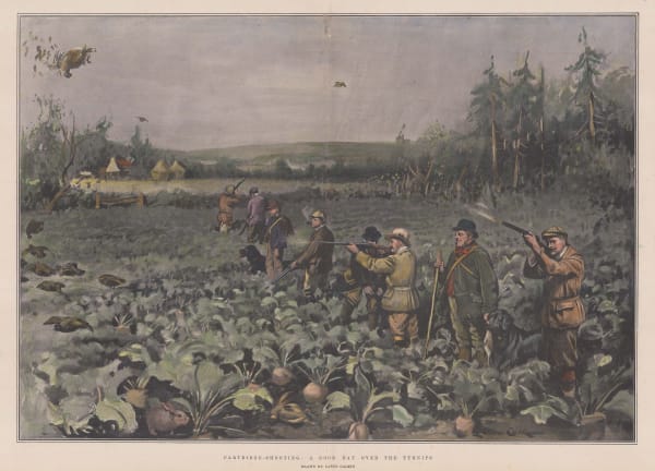 The Graphic Magazine, Shooting - Partridge-Shooting, 1902