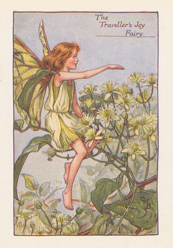 Cicely Mary Barker, Fairies - Traveller's Joy Fairy, 1925
