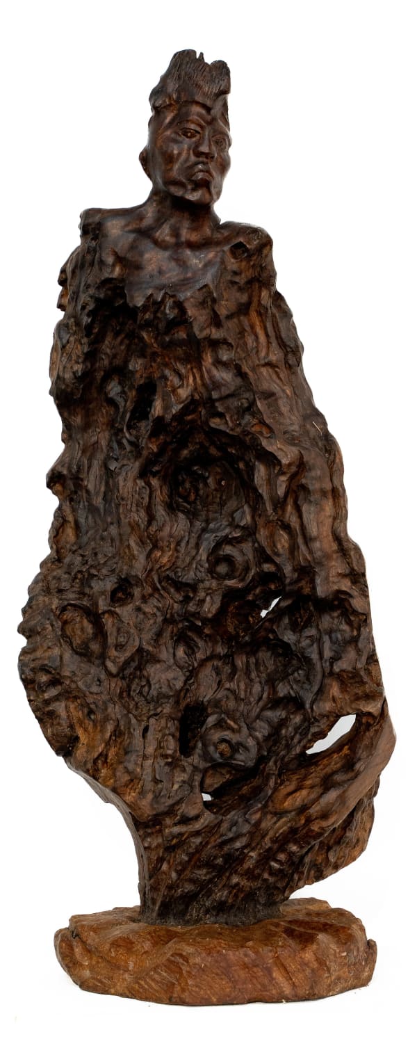 Meshark Matamela Raphalalani, Fusion