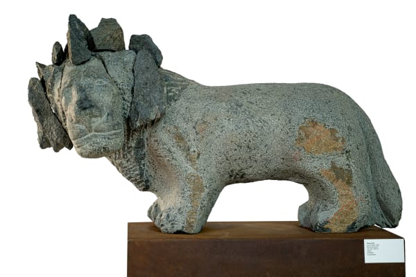 Simon Zitha, Lion of Judah , 2021