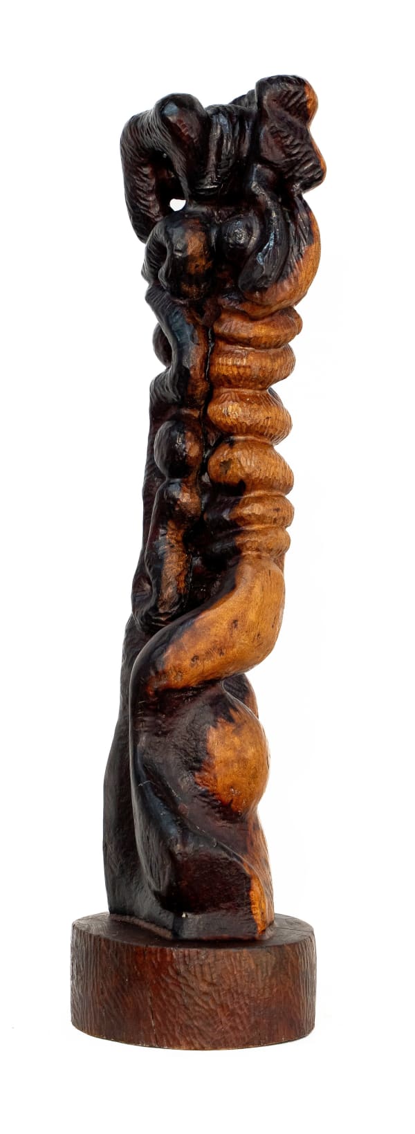 Avhashoni Mainganye, Umbilical cord, 2017-2019