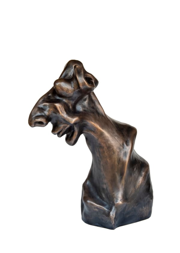 Jo Steenkamp, Proteus Primeval I, 2021