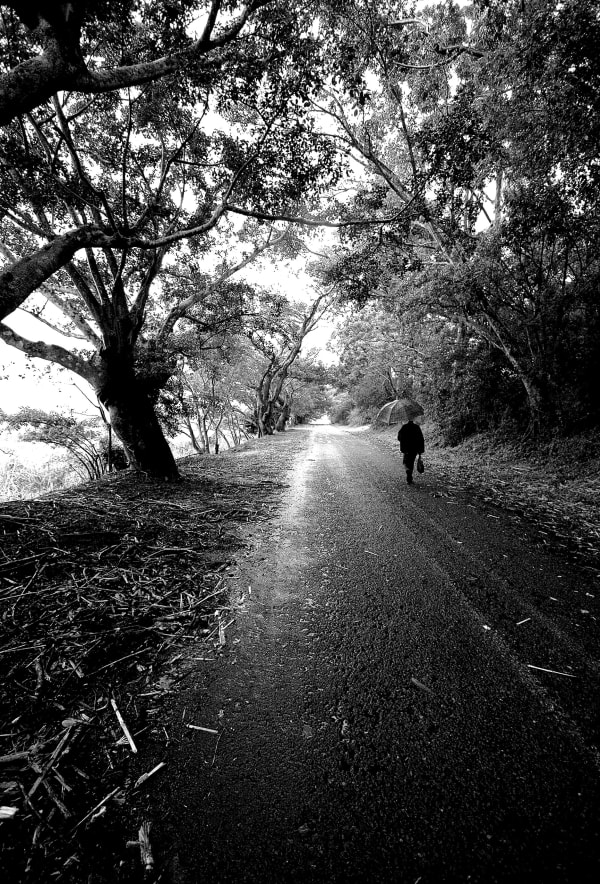 Clint Strydom, Summer rain, KwaZulu Natal, South Africa, 2006