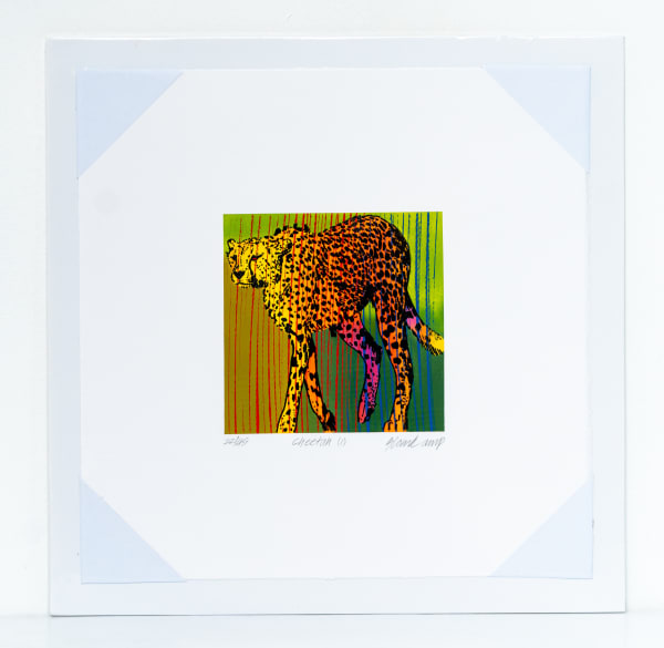 Paul Blomkamp, Cheetah 1, 2022