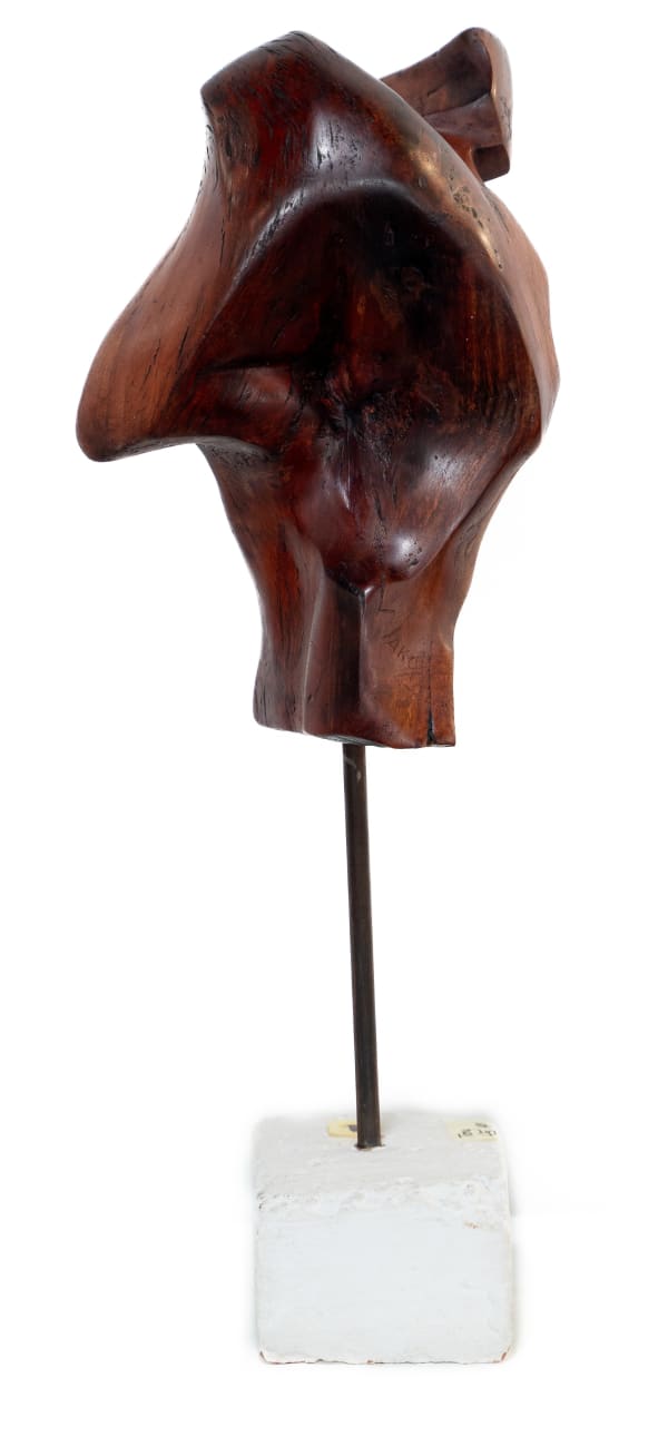 Anthony Makou, His and Her Torso, 2024