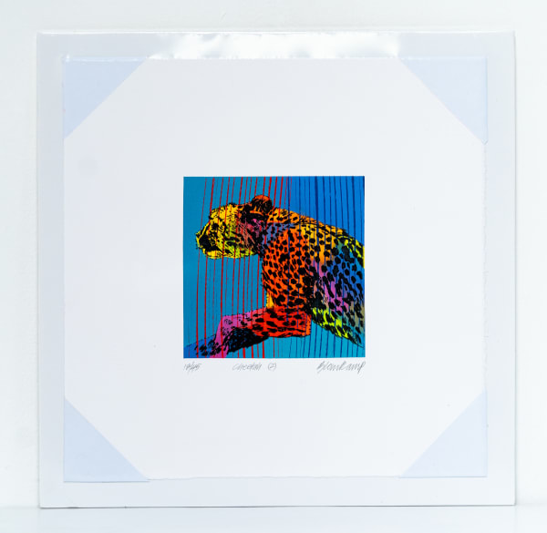 Paul Blomkamp, Cheetah 2, 2022