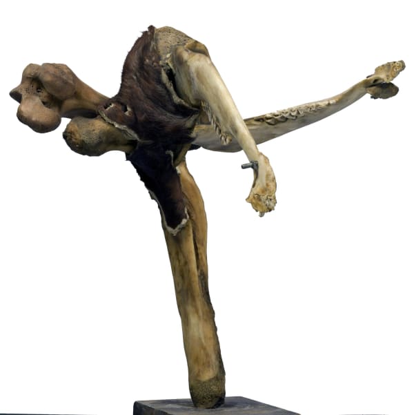 Pitika Ntuli, Dancing Jaws of Grief and Hope, 2018-2020