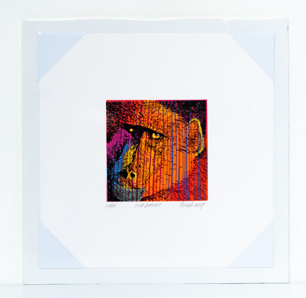 Paul Blomkamp, Self-portrait baboon, 2022