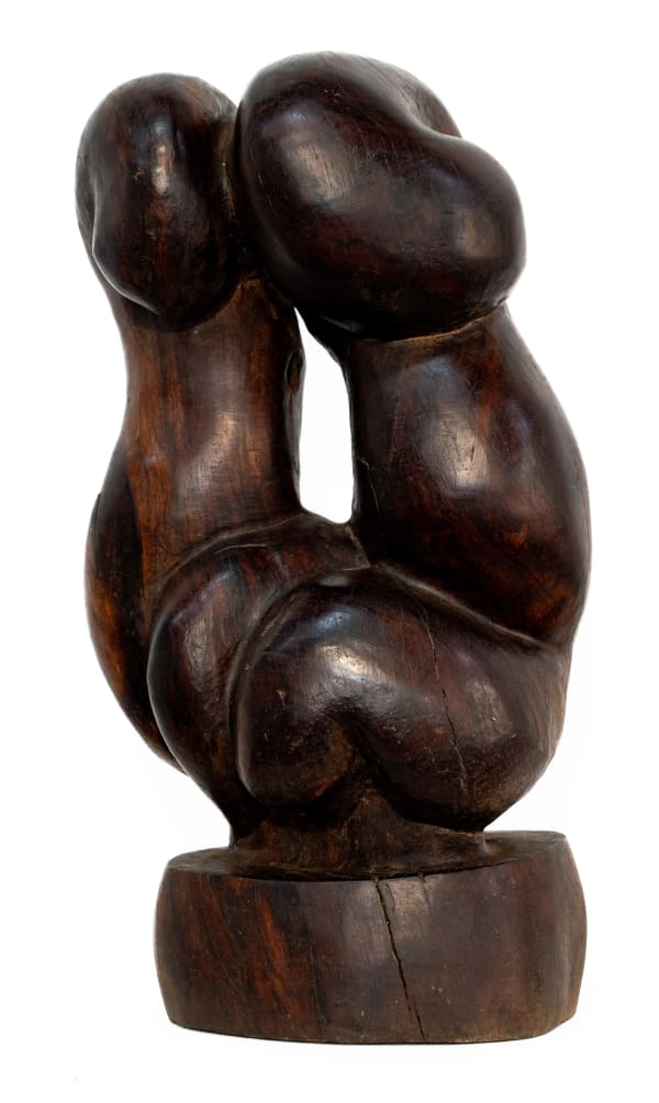 Meshark Matamela Raphalalani, Dancing Millipedes