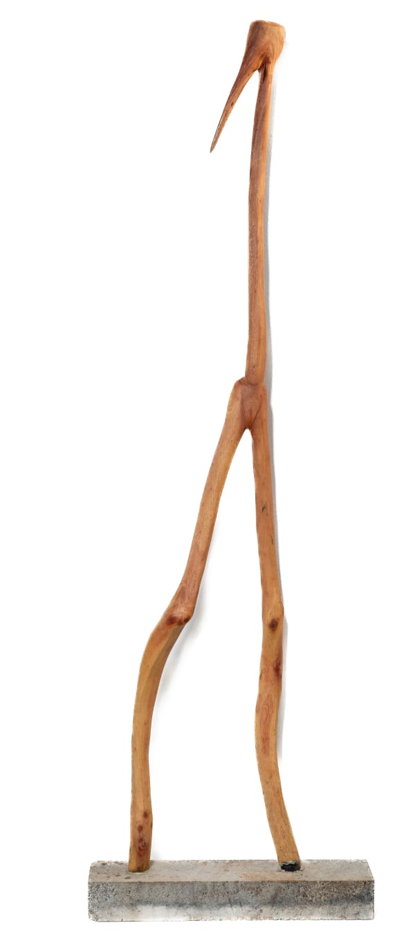 David Phoshoko, Charizma