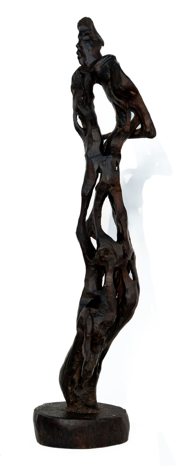 Meshark Matamela Raphalalani, Sustainable Future