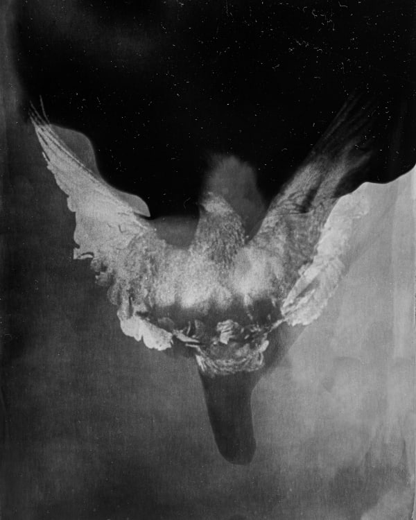 Dirk Braeckman, ECHTZEIT #091-23, 2023