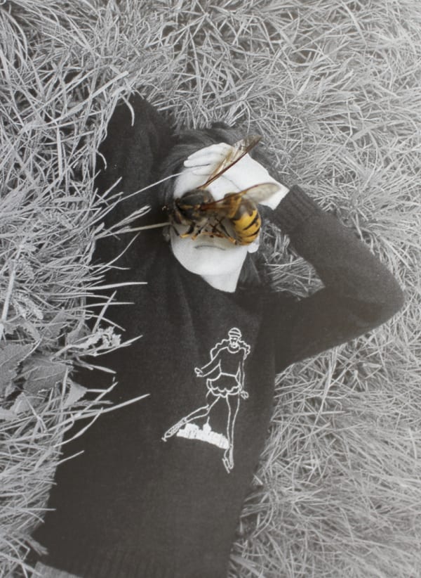 Özlem Altın, Untitled (Wespe), 2017