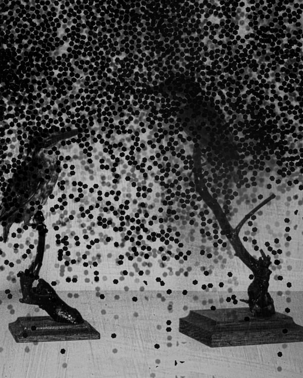 Dirk Braeckman, ECHTZEIT #138-24, 2024