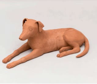 Daniel Otero Torres, Chiens sans maître (2), 2019