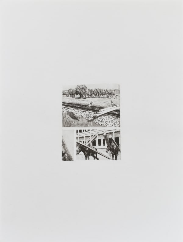 Daniel Otero Torres, Transport, 2019