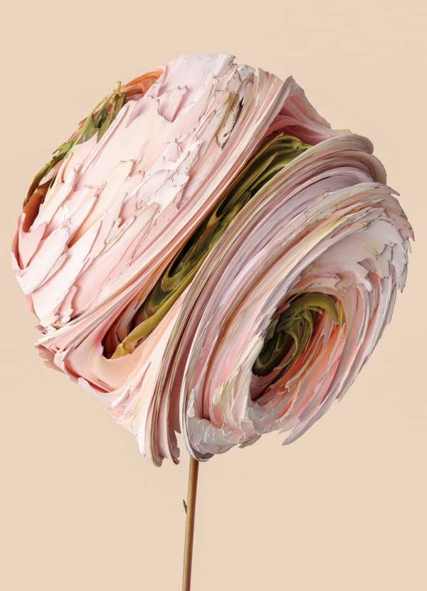 Vincent Fournier, Flora Incognita; Scara incognita, 2022