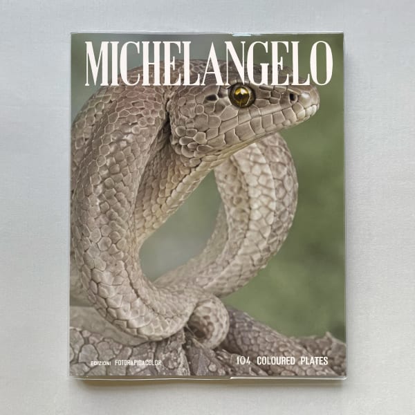 Koen Hauser, Snakes, 2024