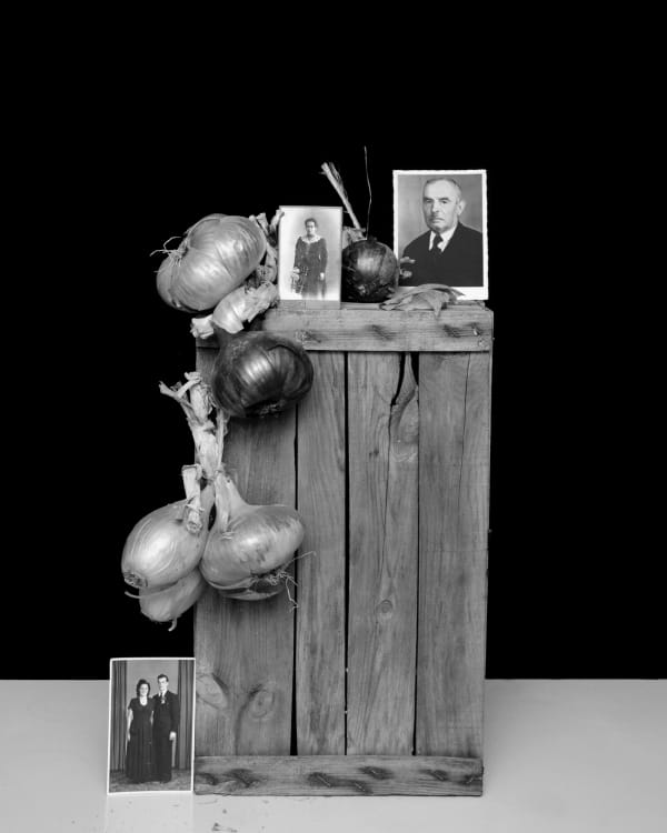 Peter Watkins, The Unforgetting | Ancestry, 2014