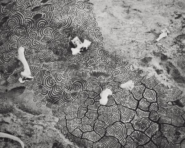 Patrick Waterhouse, In-between Way. Jinta / Restricted with Kirsty Anne Napanangka Brown., 2014-2018