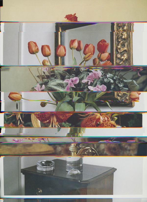 Nico Krijno, Lockdown Collage #108, 2020