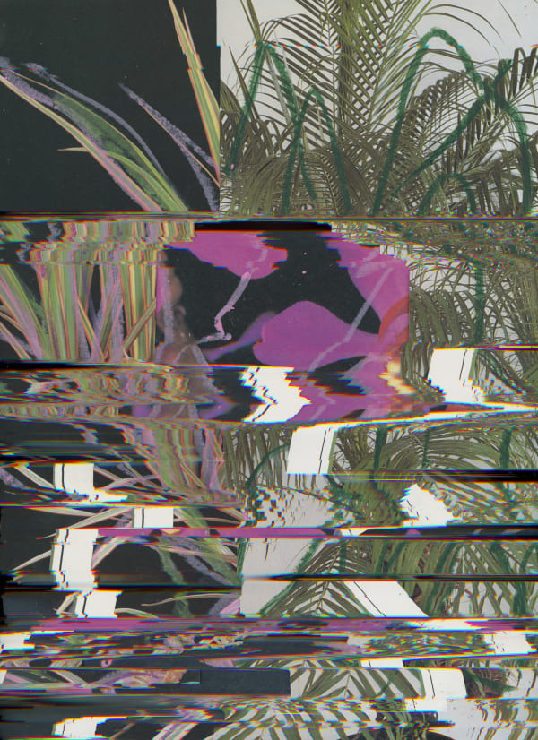 Nico Krijno, Lockdown Collage #137, 2020