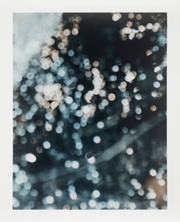 Martina Sauter, Retina I, 2018