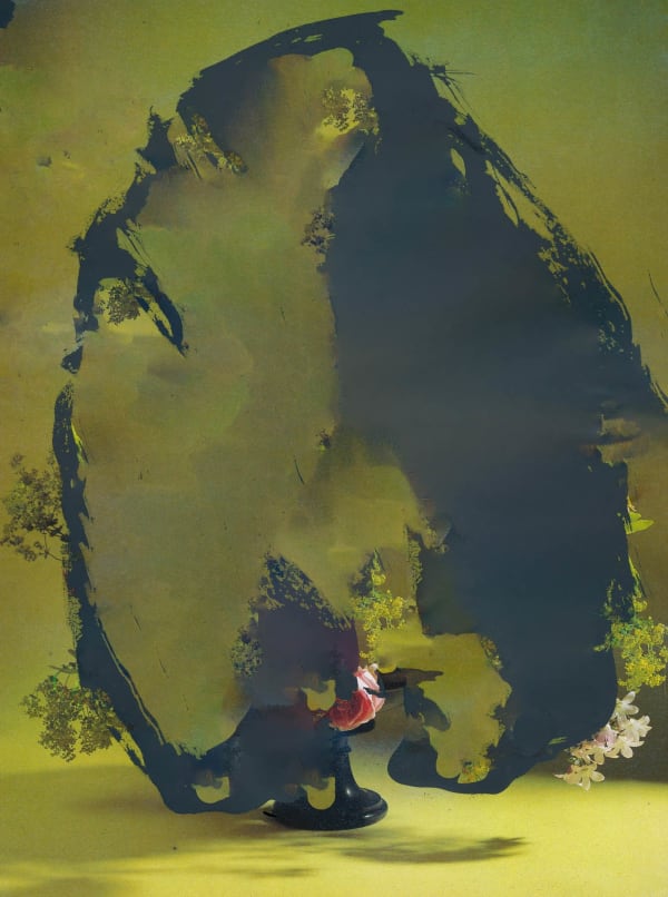 Nico Krijno, The Constellation #027, 2022