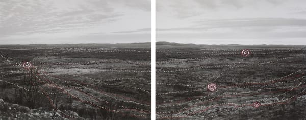 Patrick Waterhouse, It Goes Both Ways (Part 1 & 2) / Restricted with Alma Nungarrayi Sims, 2014-2018