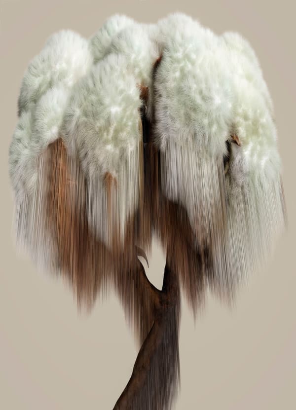 Vincent Fournier, Flora Incognita; Gossypium magnetica [Orpheus-37c], 2022